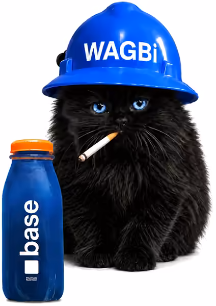 WAGBi hard hat cat